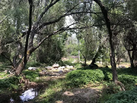43813 S South Fork Dr, Three Rivers, CA 93271 photo 6