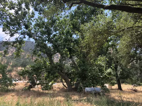 43813 S South Fork Dr, Three Rivers, CA 93271 photo 12