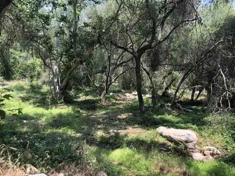 43813 S South Fork Dr, Three Rivers, CA 93271 photo 3