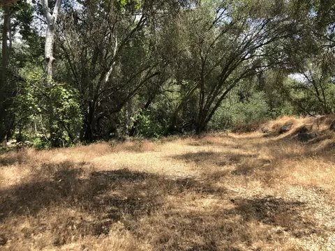 43813 S South Fork Dr, Three Rivers, CA 93271 photo 20