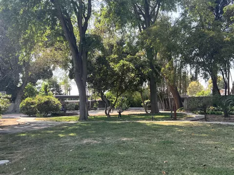 160 E Prosperity Ave, Tulare, CA 93274 photo 19