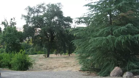 43837 S South Fork Dr, Three Rivers, CA 93271 photo 32