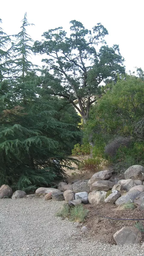 43837 S South Fork Dr, Three Rivers, CA 93271 photo 31