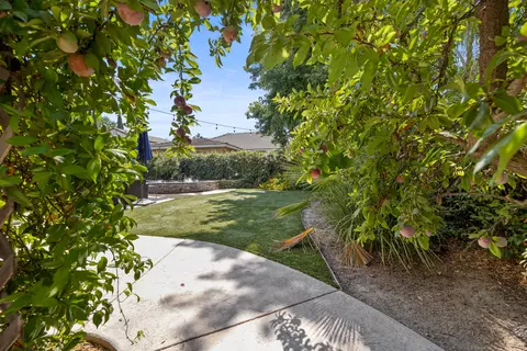 3901 N Carson St, Visalia, CA 93291 photo 69
