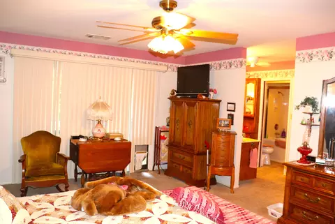 668 E Davis Dr, Dinuba, CA 93618 photo 53