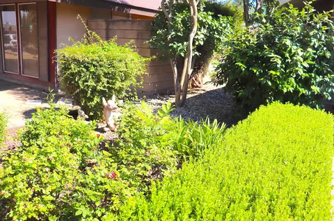668 E Davis Dr, Dinuba, CA 93618 photo 7