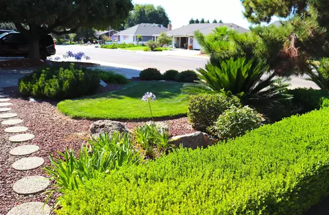 668 E Davis Dr, Dinuba, CA 93618 photo 8