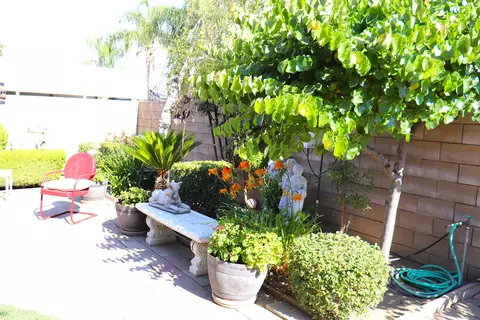 668 E Davis Dr, Dinuba, CA 93618 photo 65