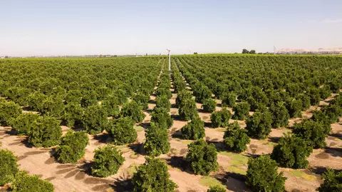 Road 258/railroad, Porterville, CA 93257