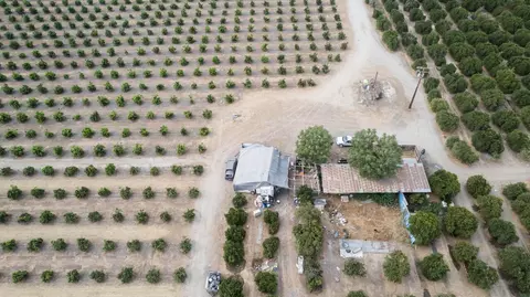 Spruce Avenue, Exeter, CA 93221 photo 9