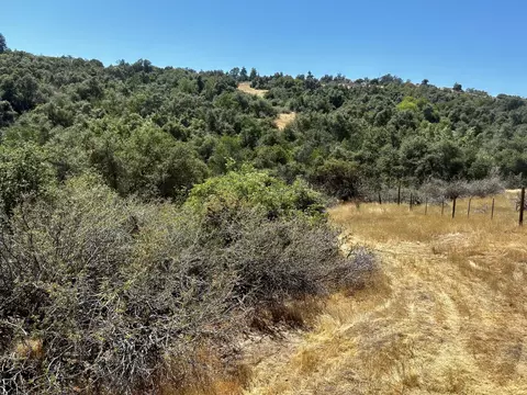 51404 Hogback Dr, Badger, CA 93603 photo 34