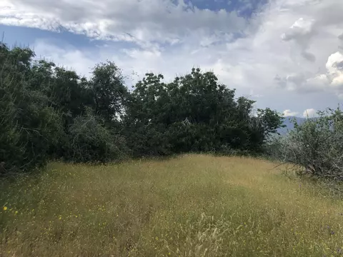 51404 Hogback Dr, Badger, CA 93603 photo 25
