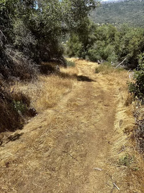 51404 Hogback Dr, Badger, CA 93603 photo 31