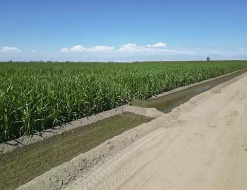 Road 160, Tipton, CA 93272 photo 10