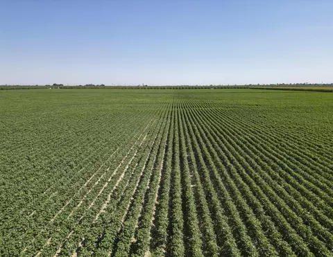 Road 160, Tipton, CA 93272 photo 11