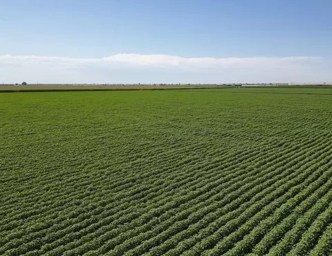 Road 160, Tipton, CA 93272 photo 6