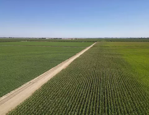 Road 160, Tipton, CA 93272 photo 8