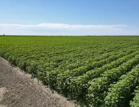 Road 160, Tipton, CA 93272 photo 5