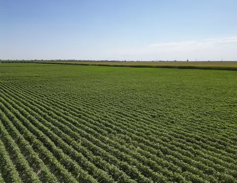 Road 160, Tipton, CA 93272 photo 12