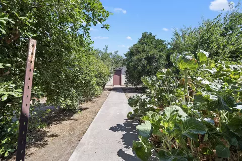1488 E Levin Ave, Tulare, CA 93274 photo 34