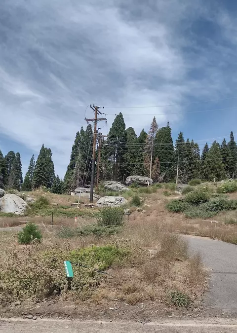 54424 Hossack Dr, Sequoia Crest, CA 93265