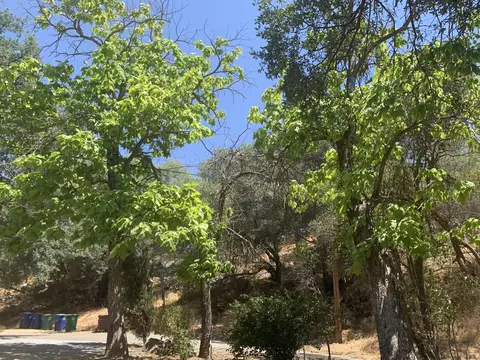 43278 Sunset Dr, Three Rivers, CA 93271 photo 28