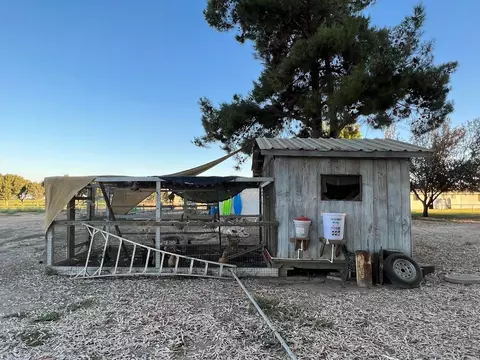9891 18th Ave, Lemoore, CA 93245 photo 50