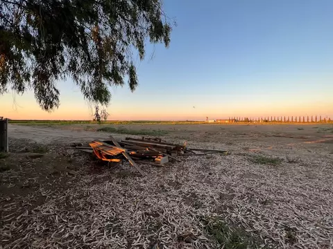 9891 18th Ave, Lemoore, CA 93245 photo 55