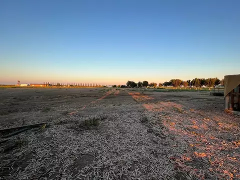 9891 18th Ave, Lemoore, CA 93245 photo 56