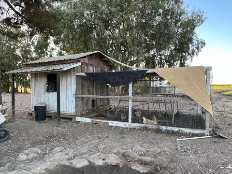 9891 18th Ave, Lemoore, CA 93245 photo 52