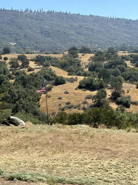51083 Whitaker Forest Rd, Badger, CA 93603 photo 2
