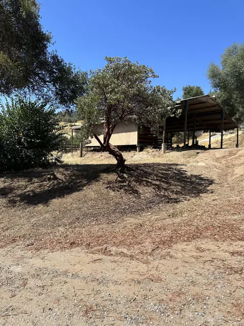 51083 Whitaker Forest Rd, Badger, CA 93603 photo 17