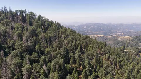 Apn 195-050-45, Miramonte, CA 93641