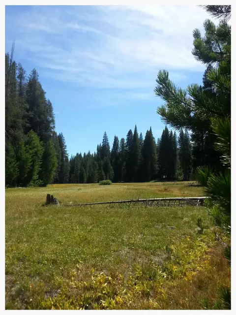 58340 Meadow Ct, Ponderosa, CA 93265