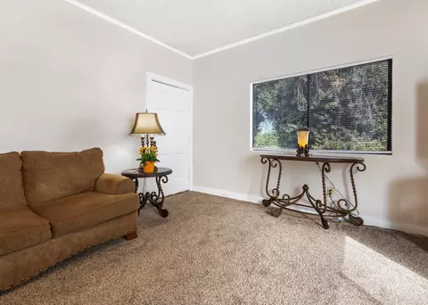 345 W Jayne Ave, Tipton, CA 93272 photo 9