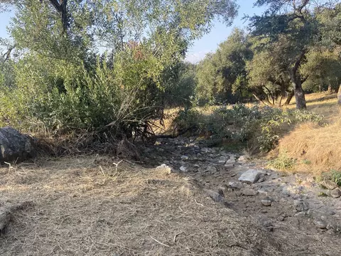 Grouse Drive, Three Rivers, CA 93271 photo 6