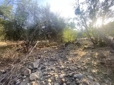 Grouse Drive, Three Rivers, CA 93271 photo 9