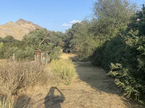 Grouse Drive, Three Rivers, CA 93271 photo 3