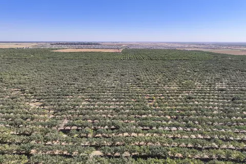 Hwy 41, Madera, CA 93636 photo 9