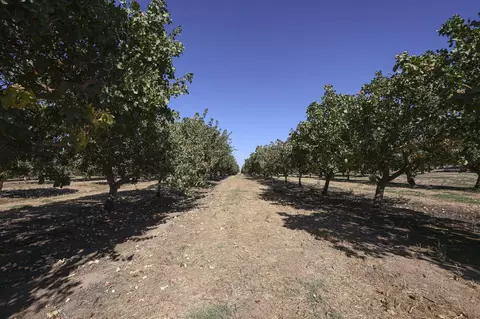 Hwy 41, Madera, CA 93636 photo 2