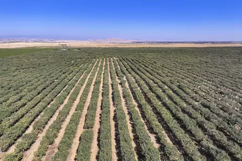 Hwy 41, Madera, CA 93636 photo 7