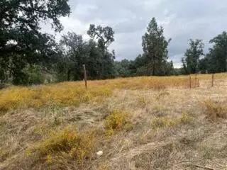 49595 S Highway 245 Hwy, Badger, CA 93603 photo 11