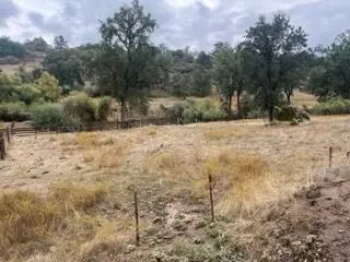 49595 S Highway 245 Hwy, Badger, CA 93603 photo 18