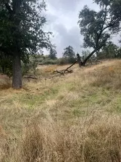 49595 S Highway 245 Hwy, Badger, CA 93603 photo 13