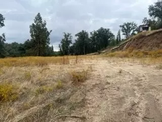 49595 S Highway 245 Hwy, Badger, CA 93603 photo 3