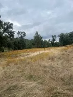 49595 S Highway 245 Hwy, Badger, CA 93603 photo 15