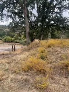 49595 S Highway 245 Hwy, Badger, CA 93603 photo 10