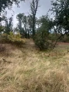 49595 S Highway 245 Hwy, Badger, CA 93603 photo 14