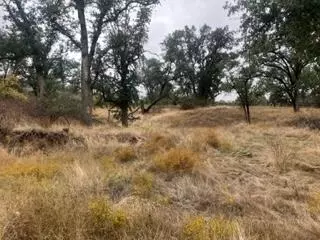 49595 S Highway 245 Hwy, Badger, CA 93603 photo 6