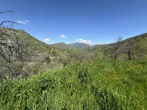 41333 Sierra Dr, Three Rivers, CA 93271 photo 4